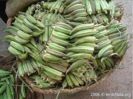 lamloriya
